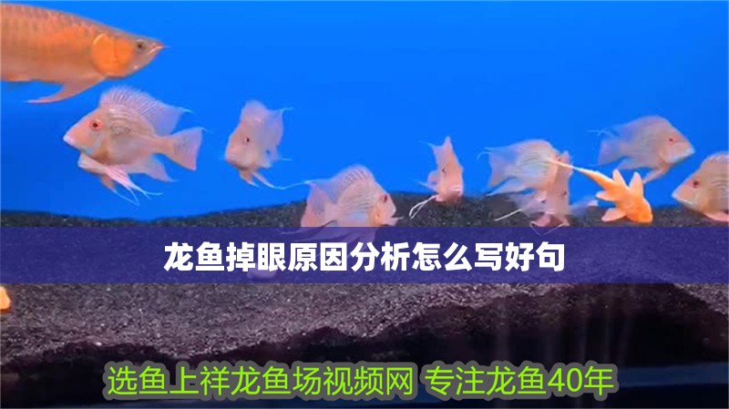 龍魚掉眼原因分析怎么寫好句