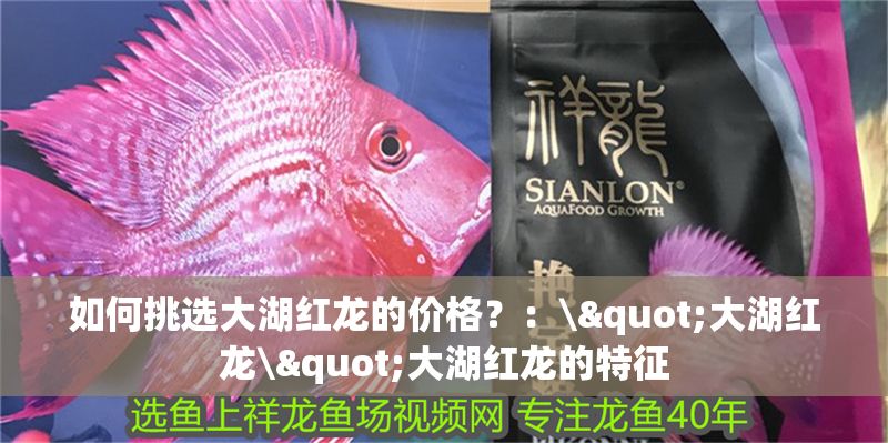 如何挑選大湖紅龍的價格？：\"大湖紅龍\"大湖紅龍的特征