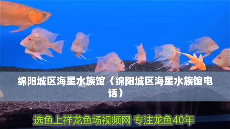 綿陽城區海星水族館（綿陽城區海星水族館電話）