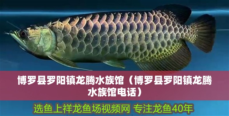 博羅縣羅陽(yáng)鎮(zhèn)龍騰水族館（博羅縣羅陽(yáng)鎮(zhèn)龍騰水族館電話(huà)）