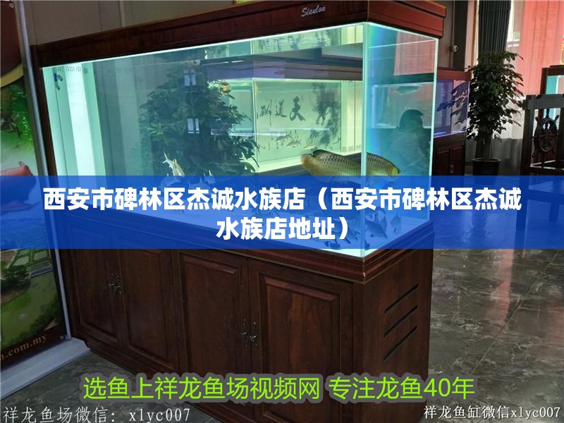 西安市碑林區杰誠水族店（西安市碑林區杰誠水族店地址）