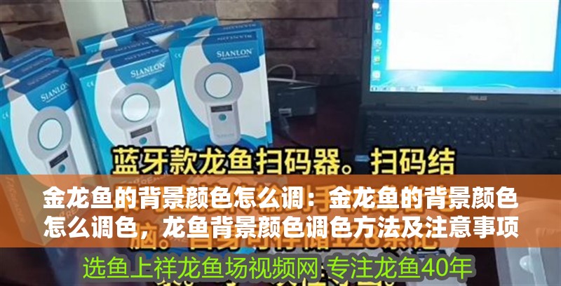 金龍魚的背景顏色怎么調(diào)：金龍魚的背景顏色怎么調(diào)色，龍魚背景顏色調(diào)色方法及注意事項(xiàng) 金龍魚的背景顏色怎么調(diào)：金龍魚的背景顏色怎么調(diào)色，龍魚背景顏色調(diào)色方法及注意事項(xiàng) 水族問(wèn)答