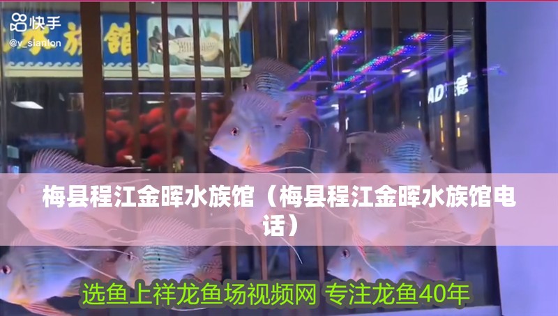 梅縣程江金暉水族館（梅縣程江金暉水族館電話）