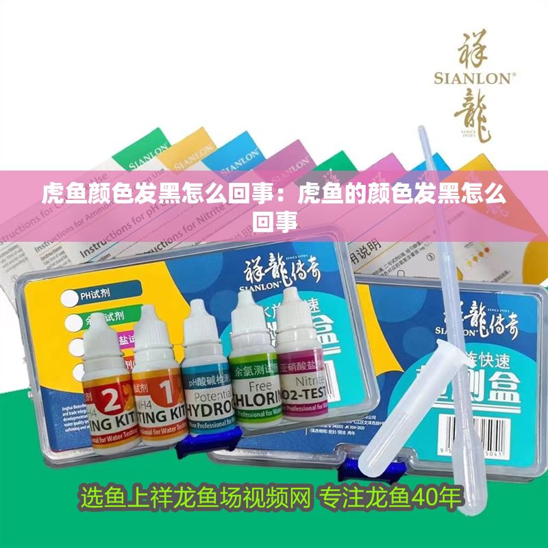 虎魚顏色發黑怎么回事：虎魚的顏色發黑怎么回事