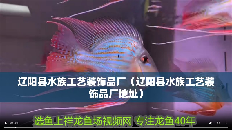 遼陽縣水族工藝裝飾品廠（遼陽縣水族工藝裝飾品廠地址）