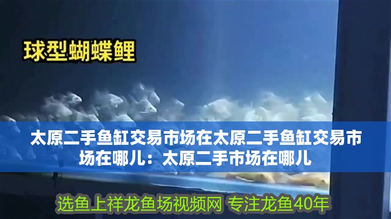 太原二手魚缸交易市場(chǎng)在太原二手魚缸交易市場(chǎng)在哪兒：太原二手市場(chǎng)在哪兒