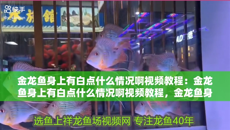 金龍魚身上有白點什么情況啊視頻教程：金龍魚身上有白點什么情況啊視頻教程，金龍魚身上有白點？原因解析與處理視頻教程
