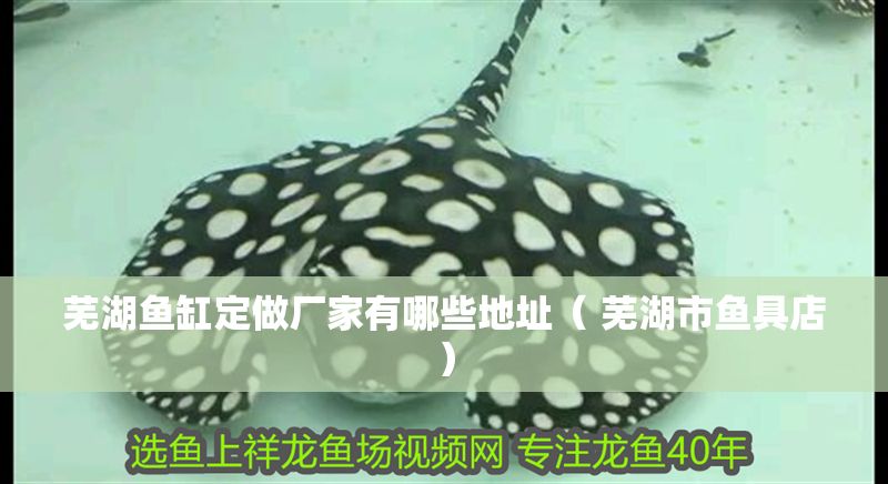 蕪湖魚缸定做廠家有哪些地址（ 蕪湖市魚具店）