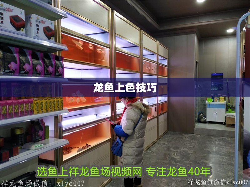 龍魚(yú)上色技巧