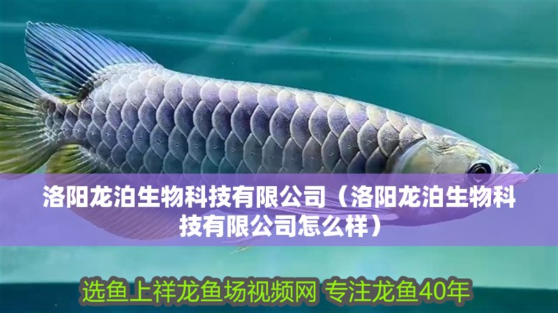洛陽龍泊生物科技有限公司（洛陽龍泊生物科技有限公司怎么樣）
