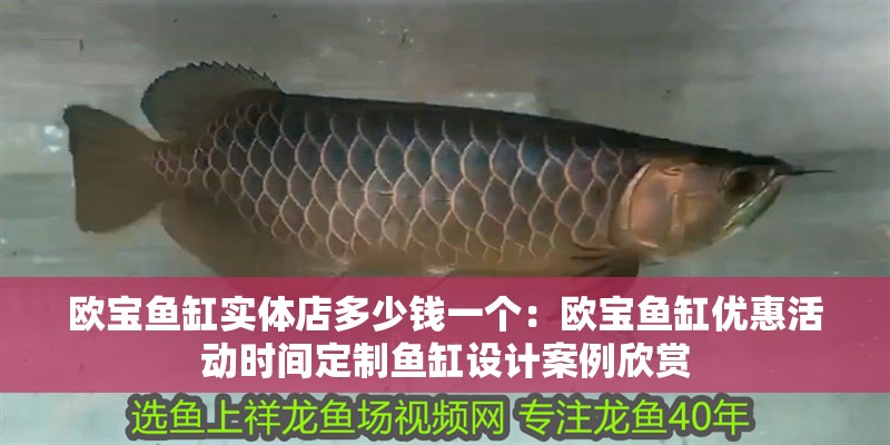 歐寶魚缸實體店多少錢一個：歐寶魚缸優(yōu)惠活動時間定制魚缸設(shè)計案例欣賞