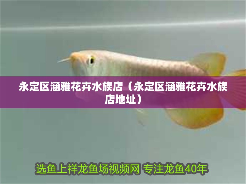 永定區涵雅花卉水族店（永定區涵雅花卉水族店地址） 永定區涵雅花卉水族店（永定區涵雅花卉水族店地址） 全國水族館企業名錄 第2張