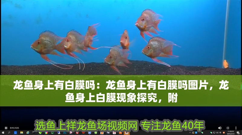 龍魚(yú)身上有白膜嗎：龍魚(yú)身上有白膜嗎圖片，龍魚(yú)身上白膜現(xiàn)象探究，附