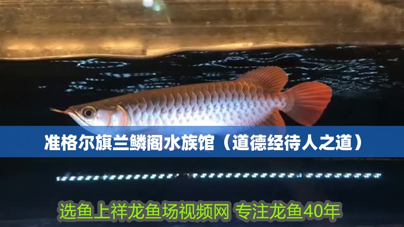 準格爾旗蘭鱗閣水族館（道德經待人之道）