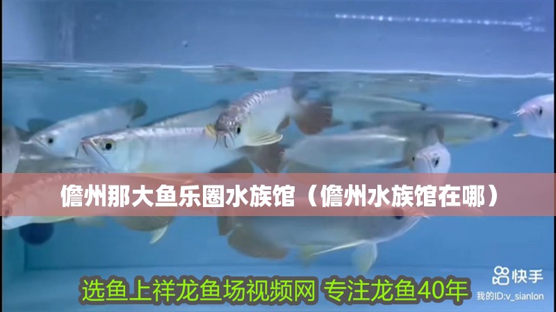 儋州那大魚樂圈水族館（儋州水族館在哪）