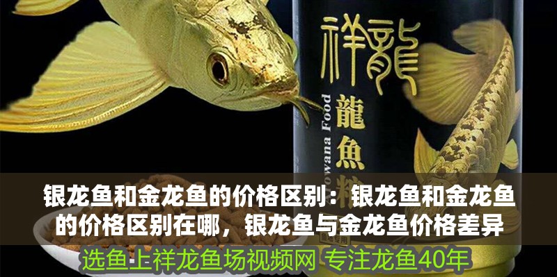 銀龍魚和金龍魚的價格區別：銀龍魚和金龍魚的價格區別在哪，銀龍魚與金龍魚價格差異