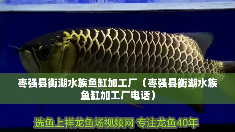 棗強(qiáng)縣衡湖水族魚缸加工廠(棗強(qiáng)縣衡湖水族魚缸加工廠電話) 全國(guó)水族館企業(yè)名錄 第2張 棗強(qiáng)縣衡湖水族魚缸加工廠(棗強(qiáng)縣衡湖水族魚缸加工廠電話) 棗強(qiáng)縣衡湖水族魚缸加工廠(棗強(qiáng)縣衡湖水族魚缸加工廠電話) 全國(guó)水族館企業(yè)名錄 第2張