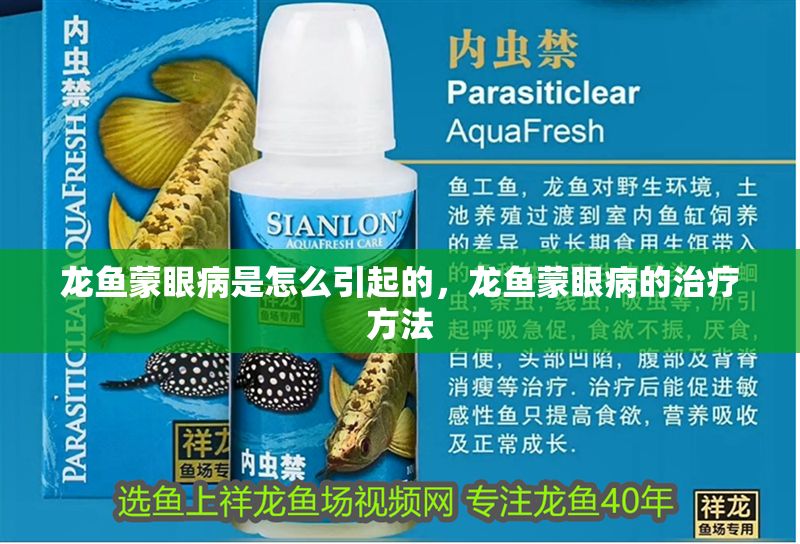 龍魚蒙眼病是怎么引起的，龍魚蒙眼病的治療方法