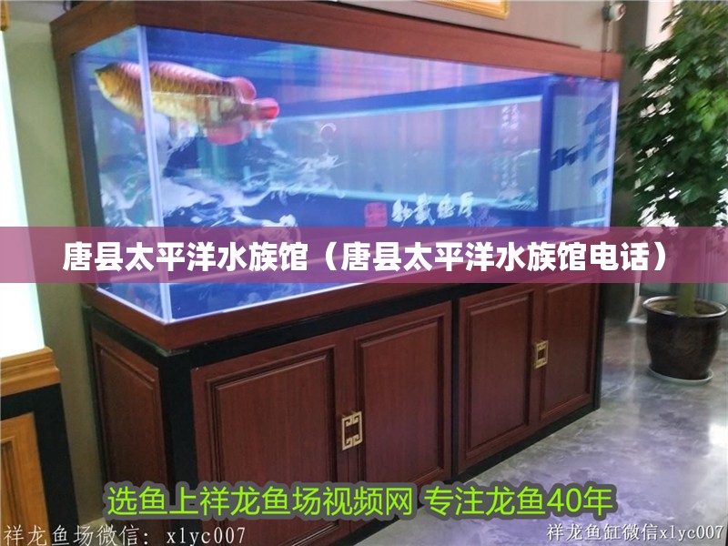 唐縣太平洋水族館（唐縣太平洋水族館電話）