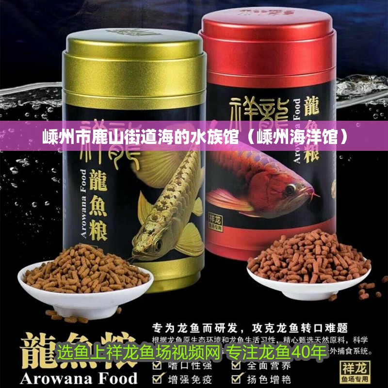 嵊州市鹿山街道海的水族館（嵊州海洋館）