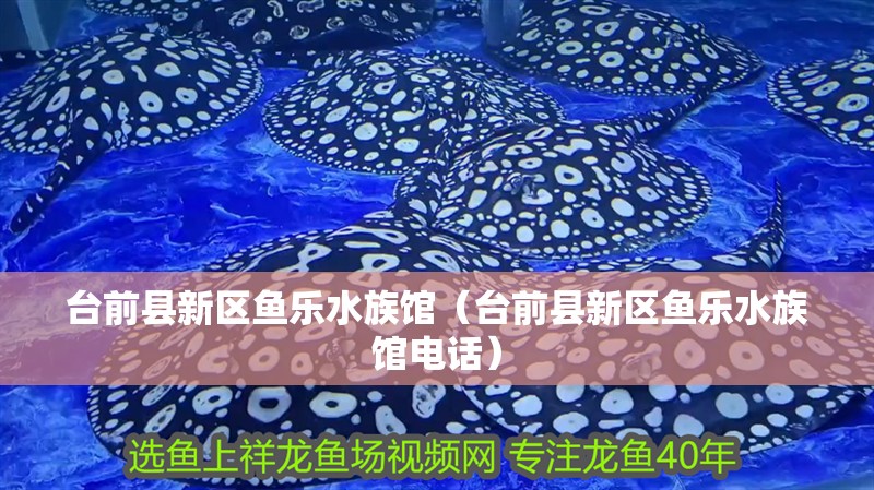 臺前縣新區(qū)魚樂水族館（臺前縣新區(qū)魚樂水族館電話） 臺前縣新區(qū)魚樂水族館（臺前縣新區(qū)魚樂水族館電話） 全國水族館企業(yè)名錄 第2張