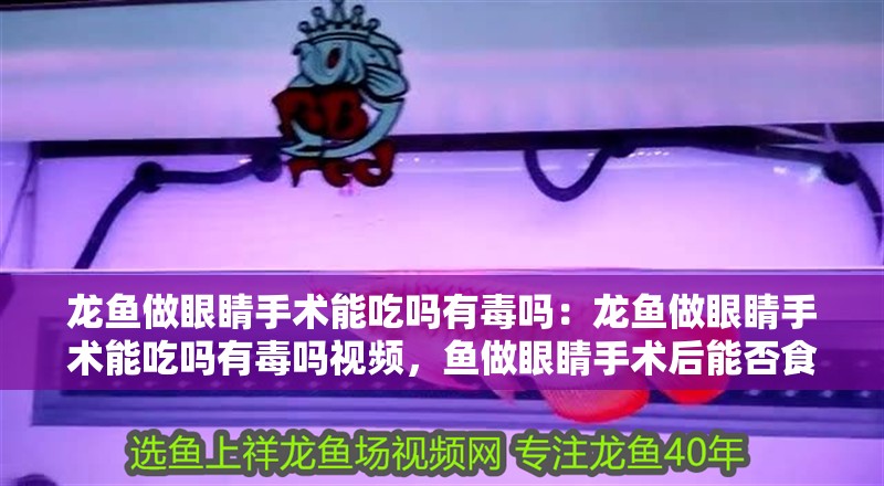 龍魚做眼睛手術能吃嗎有毒嗎：龍魚做眼睛手術能吃嗎有毒嗎視頻，魚做眼睛手術后能否食用及是否有毒