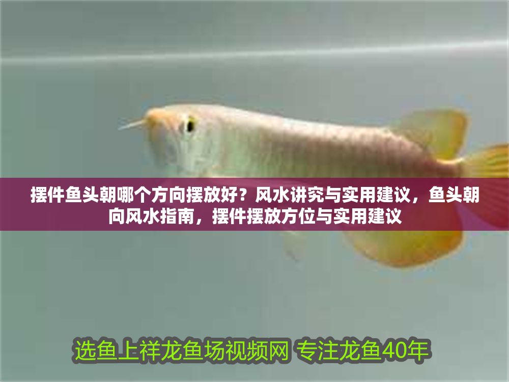 擺件魚頭朝哪個方向擺放好？風水講究與實用建議，魚頭朝向風水指南，擺件擺放方位與實用建議