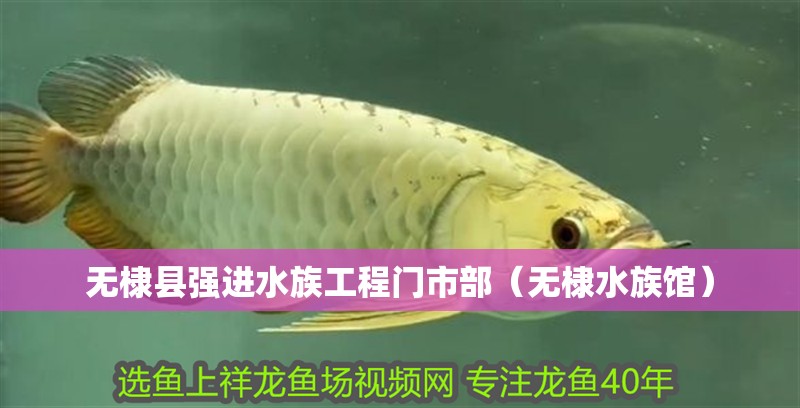 無(wú)棣縣強(qiáng)進(jìn)水族工程門市部（無(wú)棣水族館）