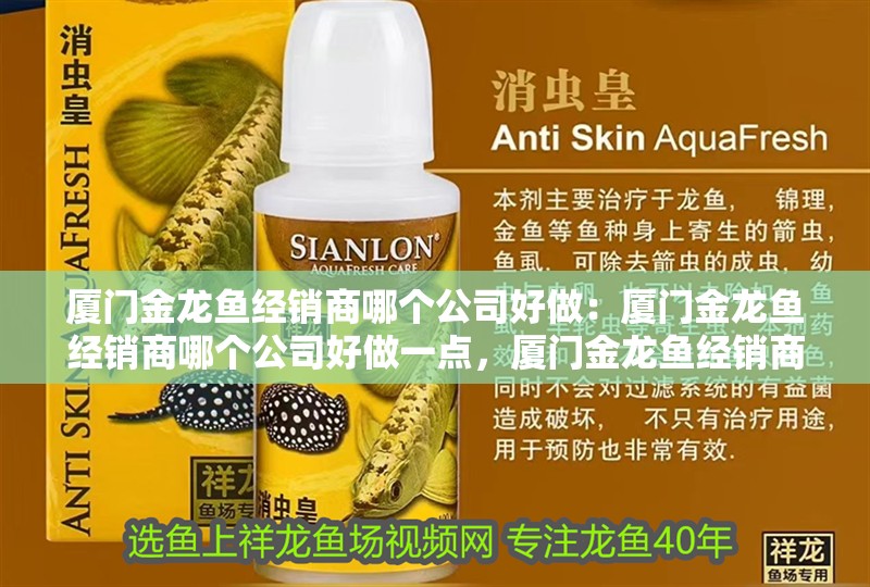 廈門金龍魚經(jīng)銷商哪個公司好做：廈門金龍魚經(jīng)銷商哪個公司好做一點，廈門金龍魚經(jīng)銷商哪家公司更具優(yōu)勢