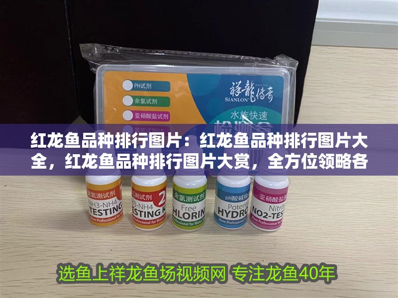 紅龍魚品種排行圖片：紅龍魚品種排行圖片大全，紅龍魚品種排行圖片大賞，全方位領略各品種風采