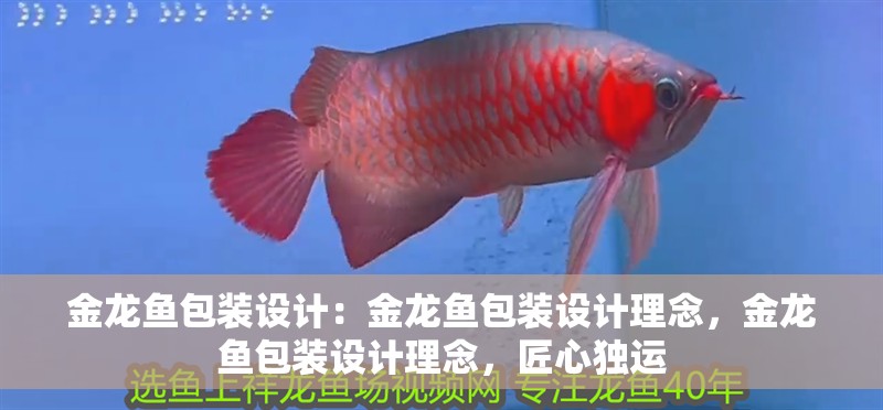 金龍魚包裝設(shè)計(jì)：金龍魚包裝設(shè)計(jì)理念，金龍魚包裝設(shè)計(jì)理念，匠心獨(dú)運(yùn)