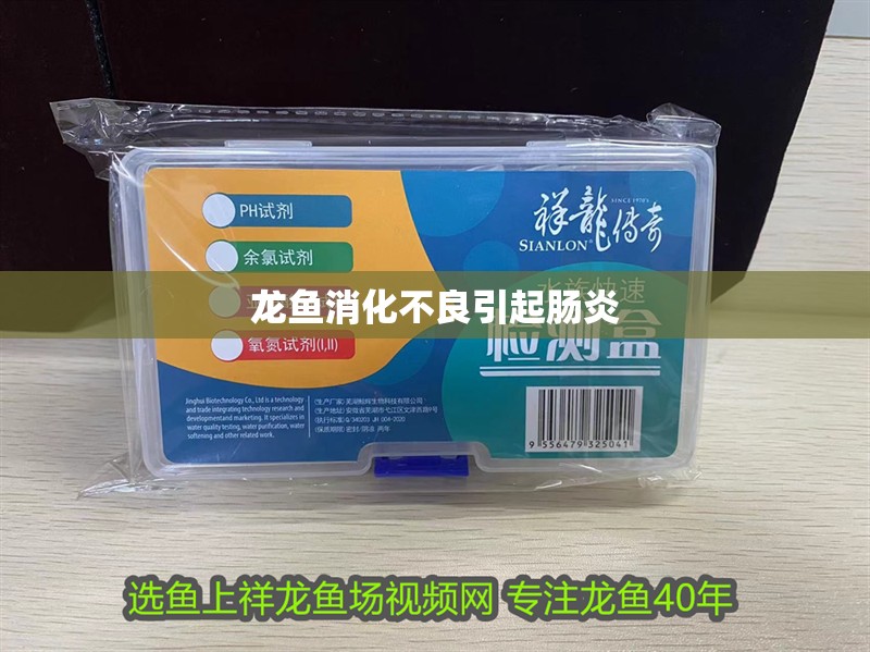 龍魚消化不良引起腸炎