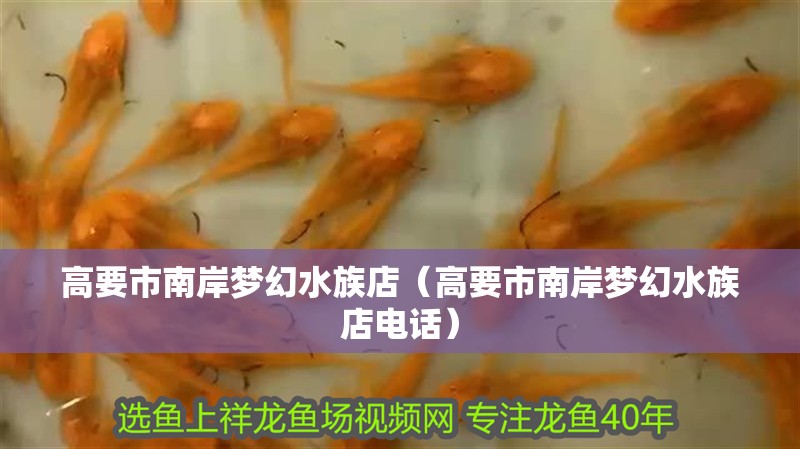 高要市南岸夢幻水族店(高要市南岸夢幻水族店電話) 全國水族館企業名錄 第2張 高要市南岸夢幻水族店(高要市南岸夢幻水族店電話) 高要市南岸夢幻水族店(高要市南岸夢幻水族店電話) 全國水族館企業名錄 第2張