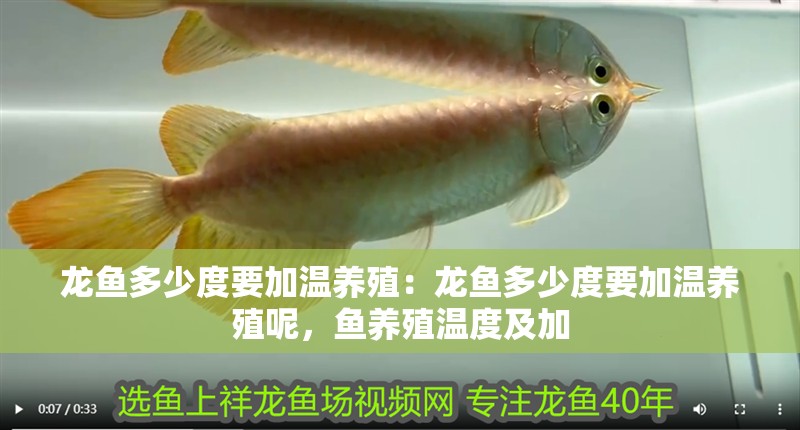 龍魚多少度要加溫養殖：龍魚多少度要加溫養殖呢，魚養殖溫度及加
