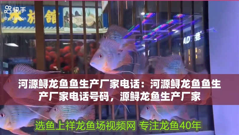 河源鱘龍魚魚生產廠家電話：河源鱘龍魚魚生產廠家電話號碼，源鱘龍魚生產廠家