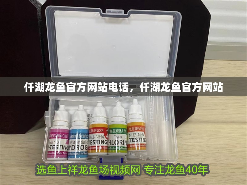 仟湖龍魚官方網站電話，仟湖龍魚官方網站