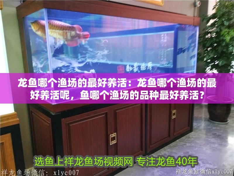 龍魚哪個漁場的最好養活：龍魚哪個漁場的最好養活呢，魚哪個漁場的品種最好養活？
