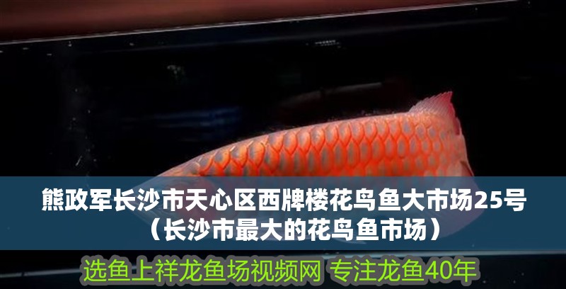 熊政軍長沙市天心區西牌樓花鳥魚大市場25號（長沙市最大的花鳥魚市場）