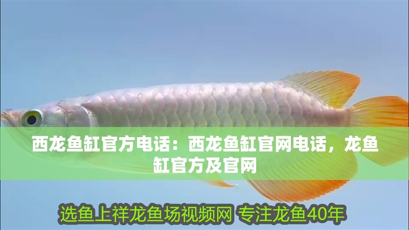 西龍魚(yú)缸官方電話：西龍魚(yú)缸官網(wǎng)電話，龍魚(yú)缸官方及官網(wǎng)