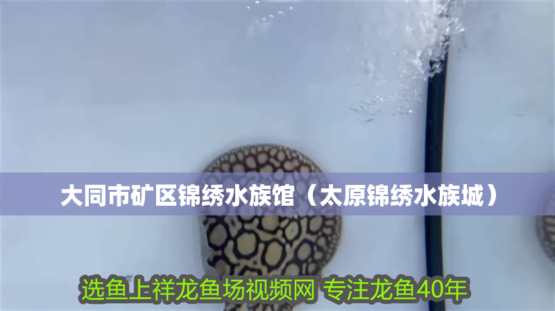 大同市礦區(qū)錦繡水族館（太原錦繡水族城）