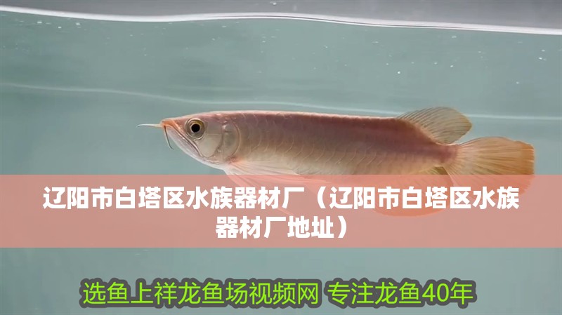 遼陽(yáng)市白塔區(qū)水族器材廠（遼陽(yáng)市白塔區(qū)水族器材廠地址）
