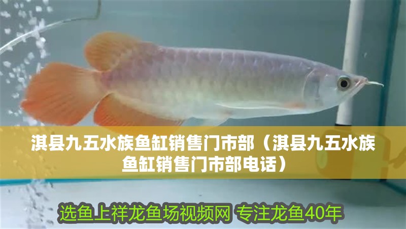 淇縣九五水族魚缸銷售門市部（淇縣九五水族魚缸銷售門市部電話）