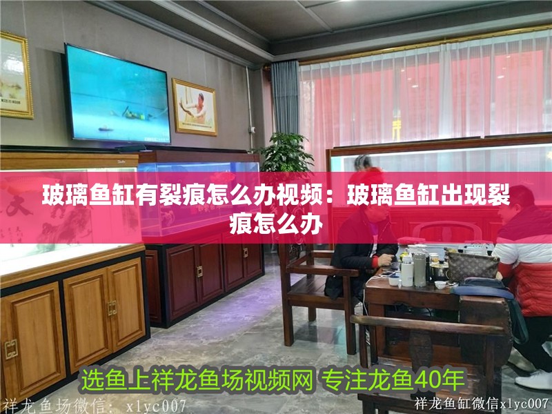 玻璃魚缸有裂痕怎么辦視頻：玻璃魚缸出現裂痕怎么辦