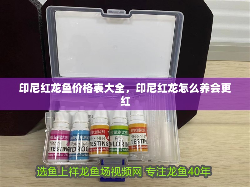 印尼紅龍魚(yú)價(jià)格表大全，印尼紅龍?jiān)趺答B(yǎng)會(huì)更紅