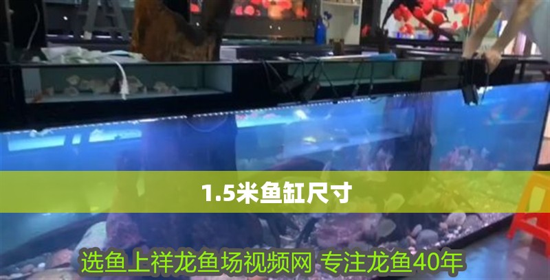 1.5米魚缸尺寸