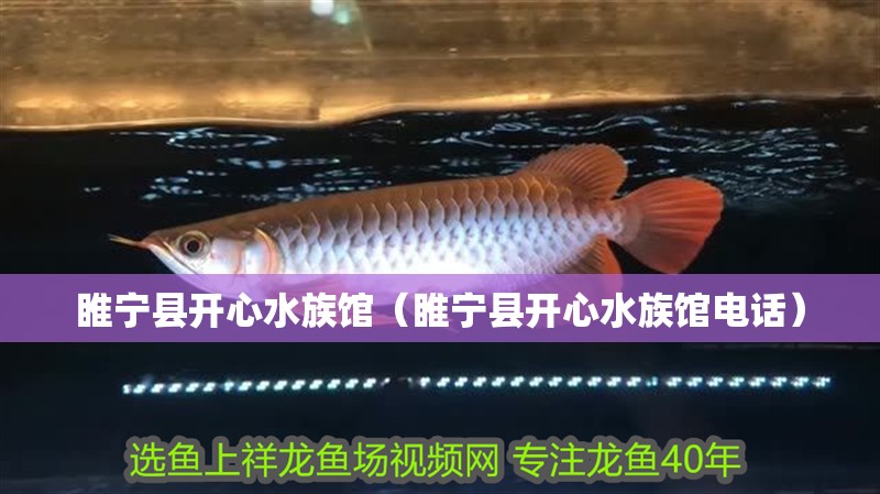 睢寧縣開心水族館（睢寧縣開心水族館電話）