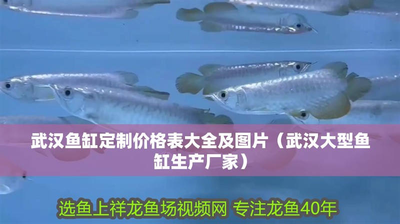 武漢魚缸定制價格表大全及圖片（武漢大型魚缸生產廠家）