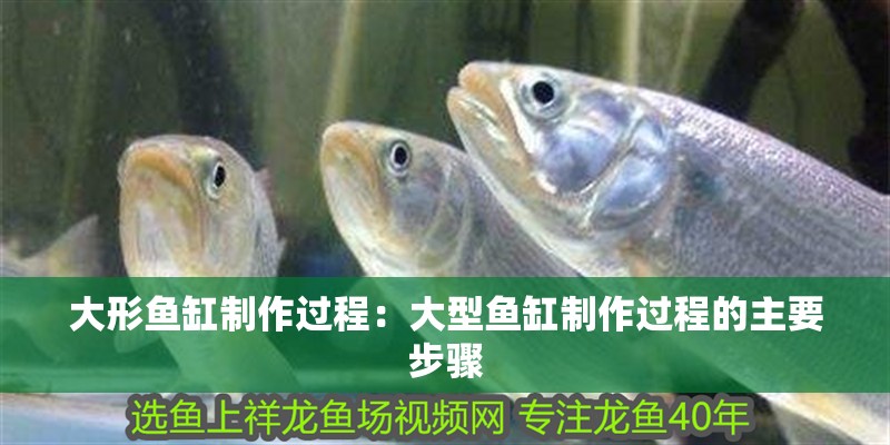 大形魚缸制作過程：大型魚缸制作過程的主要步驟