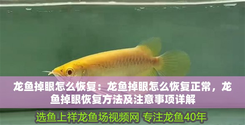 龍魚掉眼怎么恢復：龍魚掉眼怎么恢復正常，龍魚掉眼恢復方法及注意事項詳解