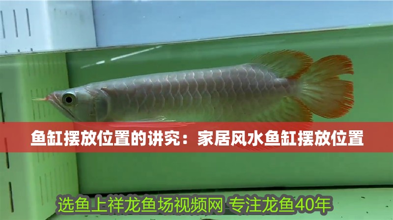 魚缸擺放位置的講究：家居風水魚缸擺放位置